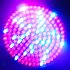 L E D  Grow Light is an incredible way to grow plants indoors  in sheds and in green houses  This is an engineered gadget made for the indoors gardener  whatev