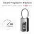 L1 Fingerprint Lock Small Keyless Biometric Smart Padlock 10 Fingerprints Storage High Security Cable Lock For Fridge Cabinet Pantry Travel silver black