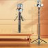 L16 1530mm Wireless Selfie Stick Tripod Foldable Monopod Compatible For Gopro Action Camera Smartphone Balance black Double light