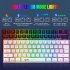 L500 Wired Wireless Connection Gaming Keyboard 61 Keys Compact Computer Keyboard Type C Connection Mechanical Keyboard With Dynamic RGB Backlight Keyboard For P