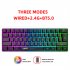 L500 Wired Wireless Connection Gaming Keyboard 61 Keys Compact Computer Keyboard Type C Connection Mechanical Keyboard With Dynamic RGB Backlight Keyboard For P