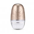 BLK-E001 Face Cleansing Instrument Gold