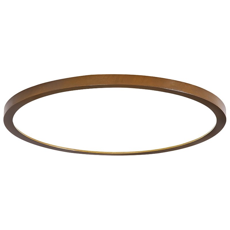 LED Ceiling Light Circle Led Light With Acrylic Lampshade 3200LM 12W Flat Modern Round Closet Lighting Fixtures