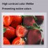 LED Desk Lamp With Clamp Dimmable Eye Caring Table Lamp 5 Brightness Levels And 5 Color Modes Architect Desk Lamps For Home Office Study Work black