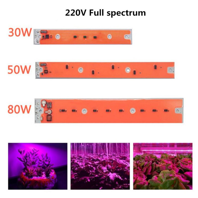 LED Full Spectrum Grow Light Source for Iodine Tungsten Lamp AC220V