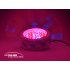 LED Grow Light   Bumper Harvest Edition  NASA Red and Blue   Welcome to the revolutionary L E D  Grow Light  an incredible way to grow plants indoors 