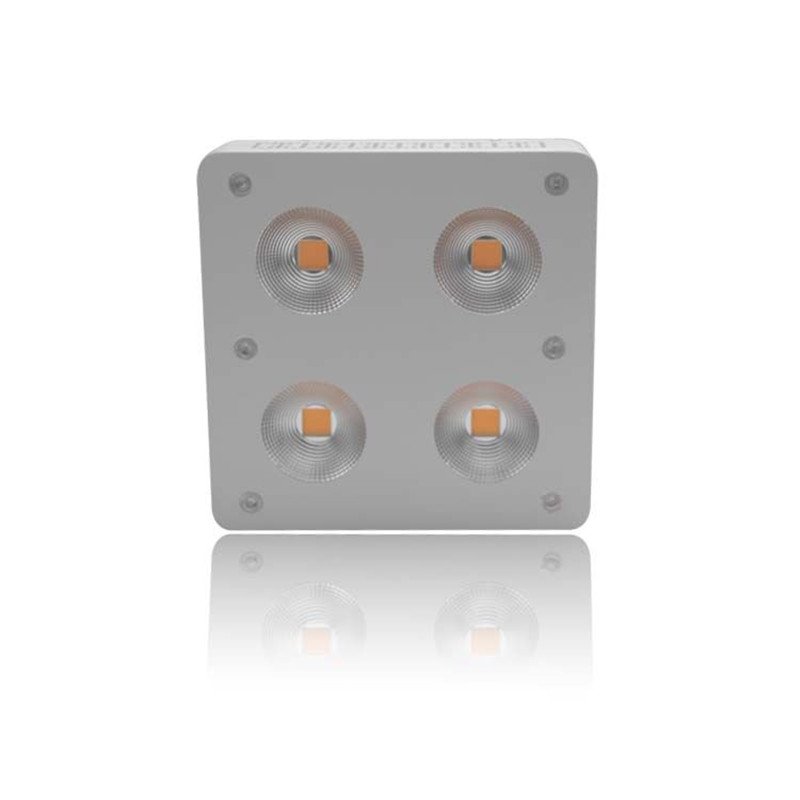 LED Grow Light