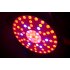 LED Grow Light  which has 72 piece at 3W that produces a low consumption but high performance output to help the growth of your vegetables and plants