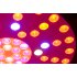 LED Grow Light  which has 72 piece at 3W that produces a low consumption but high performance output to help the growth of your vegetables and plants