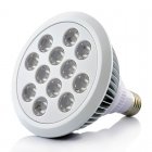LED Grow Light with 12 Pieces  12W and produces a red  blue orange effect is great for growing vegetables or other plantation indoors