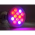 LED Grow Light with 12 Pieces  12W and produces a red  blue orange effect is great for growing vegetables or other plantation indoors