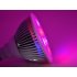 LED Grow Light with 12 Pieces  12W and produces a red  blue orange effect is great for growing vegetables or other plantation indoors
