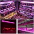 LED Grow Lights 500W Full Spectrum Growing Lamp Lighting for Hydroponic Indoor Plants 50cm European regulations