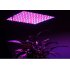 LED Grow light with 225 high powered LEDs that draw 14 Watt of power to nurture plants with red and blue illumination that will boost their photosynthesis 