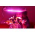 LED Hydroponic  Grow Light with 100 LEDs giving 300 Watt power and 5 lights
