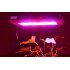 LED Hydroponic  Grow Light with 100 LEDs giving 300 Watt power and 5 lights