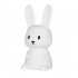 LED Night Light Cute Rabbit Night Lamp With Dimming And Timer USB Rechargeable Nursery Night Light Bedside Table Lamp For Boys Girls Kids White