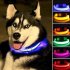 LED Pet Cat Dog Collar Night Safety Luminous Necklaces for Outdoor Walking blue XL