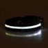 LED Pet Cat Dog Collar Night Safety Luminous Necklaces for Outdoor Walking White M