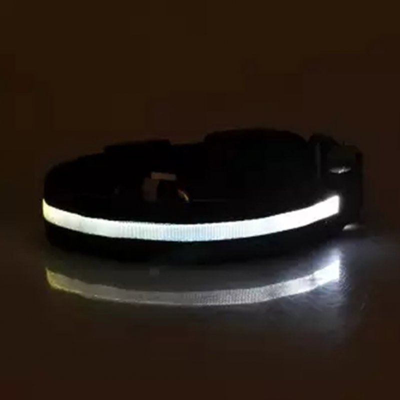 LED Pet Cat Dog Collar Night Safety Luminous Necklaces for Outdoor Walking White_M
