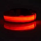 LED Pet Cat Dog Collar Night Safety Luminous Necklaces for Outdoor Walking red L