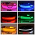 LED Pet Cat Dog Collar Night Safety Luminous Necklaces for Outdoor Walking red S