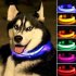 LED Pet Cat Dog Collar Night Safety Luminous Necklaces for Outdoor Walking yellow L