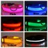 LED Pet Cat Dog Collar Night Safety Luminous Necklaces for Outdoor Walking green S