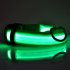 LED Pet Cat Dog Collar Night Safety Luminous Necklaces for Outdoor Walking green M