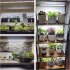LED Plant Grow Light Strips Full Spectrum USB Auto ON Off Timer 9 Dimmable Levels Sunlike Grow Lamp For Indoor Plants Strip 2 heads