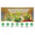 LED Plant Grow Light Strips Full Spectrum USB Auto ON Off Timer 9 Dimmable Levels Sunlike Grow Lamp For Indoor Plants Strip 2 heads