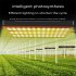 LED Plant Growth Lamp Energy Saving Super Bright Plant Fill Light Promoting Plant Growth for Indoor Plants EU Plug