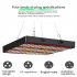 LED Plant Growth Lamp Energy Saving Super Bright Plant Fill Light Promoting Plant Growth for Indoor Plants EU Plug