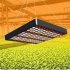 LED Plant Growth Lamp Energy Saving Super Bright Plant Fill Light Promoting Plant Growth for Indoor Plants EU Plug