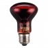 LED Red Reptile Night Light UVA Infrared Heat Lamp Bulb for Snake Lizard ReptileC2KQ