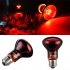 LED Red Reptile Night Light UVA Infrared Heat Lamp Bulb for Snake Lizard Reptile