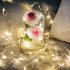LED Romantic 2 Simulate Rose Shape Decor with String Light for Valentine Decoration red
