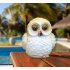 LED Solar Powered Cartoon Owl Shape Lamp Landscape Ornament  14x11x10 5cm