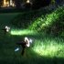 LED Solar Powered Lawn Lights Waterproof Spotlight for Yard Pathway Wall Outdoor Garden White light