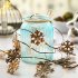 LED String Light Pine Cone Copper Wire Fairy Lamp for Christmas Home Wedding Party Snowflower