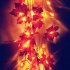 LED String Light Pumpkin Maple Leaf Garland Light for Thanksgiving Christmas Garden Party Room Decor