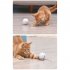 LED Teaser Ball with Replacement Head Electric Cat Toys for Pet white