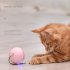 LED Teaser Ball with Replacement Head Electric Cat Toys for Pet Pink