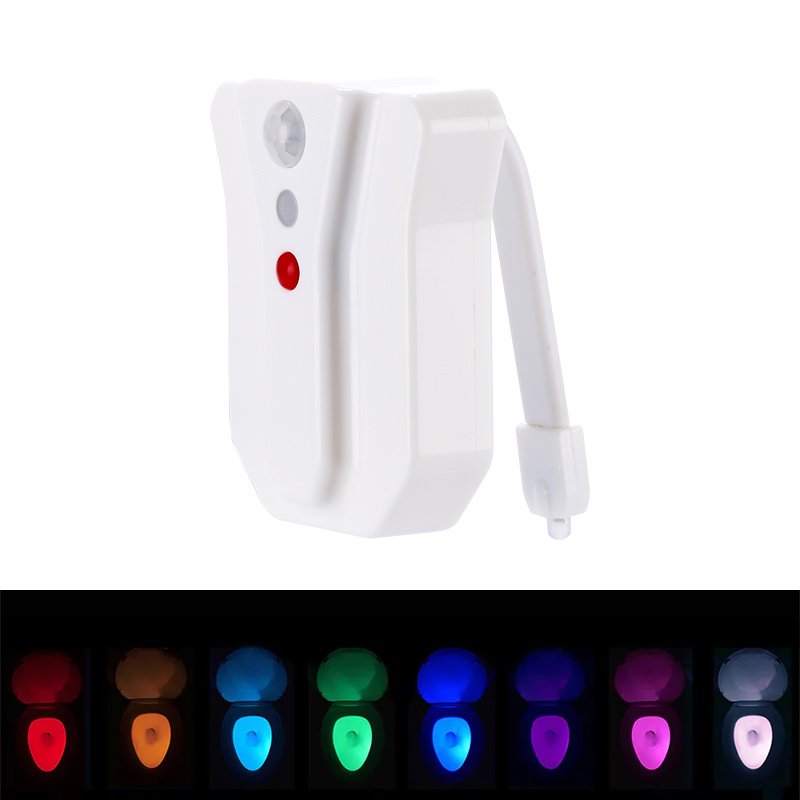 LED Toilet Light