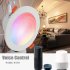 LED Wifi Smart Downlight 85  265V 12W Work with Alexa Google Home Voice Control