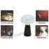 LED bulb lamp with multifunction capabilities including emergency setting and USB charger