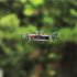 LF606 Mini Drone with Camera Altitude Hold RC Drones HD Wifi FPV Quadcopter Drone RC Helicopter 4K  storage bag