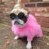 Ladies Turkey Winter Warm Sweater Soft Comfortable Pet Clothes Pets Cosplay Costume For Small Medium Large Dogs light blue M