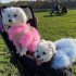 Ladies Turkey Winter Warm Sweater Soft Comfortable Pet Clothes Pets Cosplay Costume For Small Medium Large Dogs light blue M