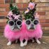 Ladies Turkey Winter Warm Sweater Soft Comfortable Pet Clothes Pets Cosplay Costume For Small Medium Large Dogs light blue M